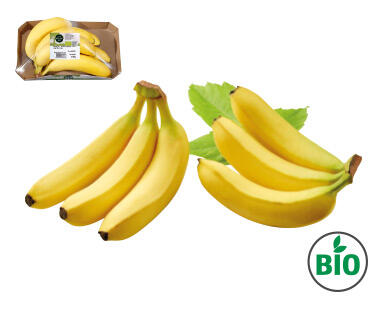 NATURA FELICE 
 Banane BIO 700 g