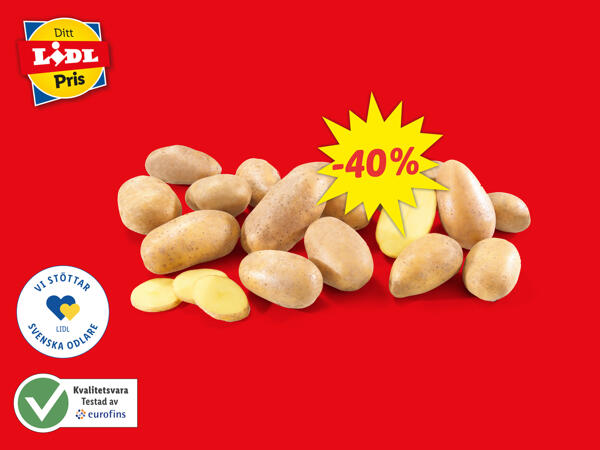 Potatis