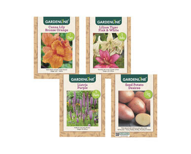 Packet Bulbs