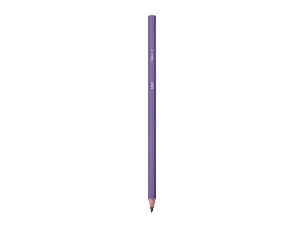 BIC Stationery Assortment