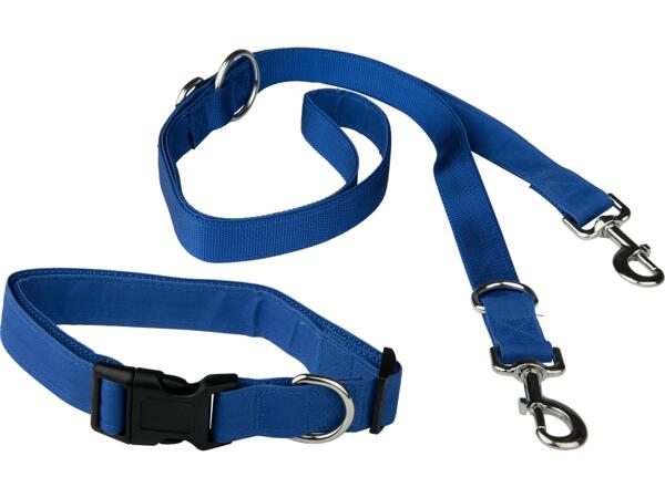 Dog Collar & Lead