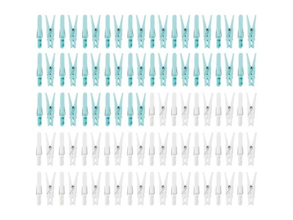 W5 Clothes Pegs - 100 Pack