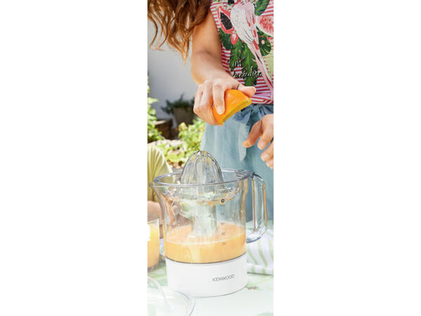 Citrus Juicer