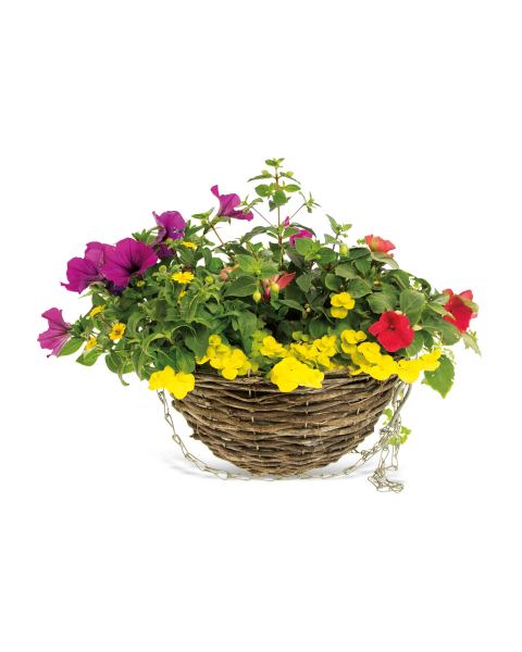 14" Dark Hanging Basket