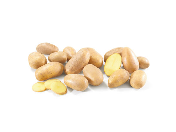 Färskpotatis