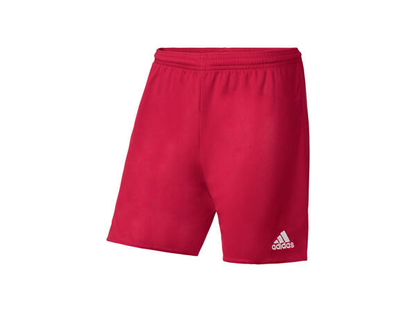 Men's Sports Shorts