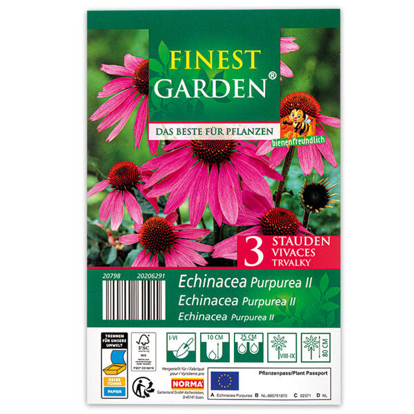 Blumenzwiebeln winterharte Stauden