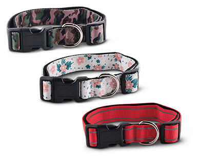 Heart to Tail Pet Collars