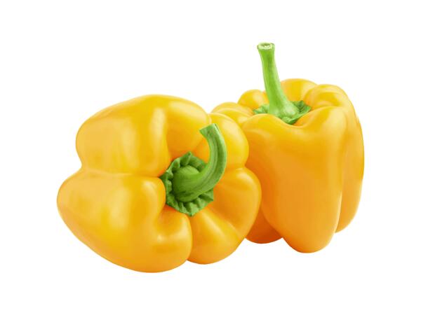Paprika žlutá