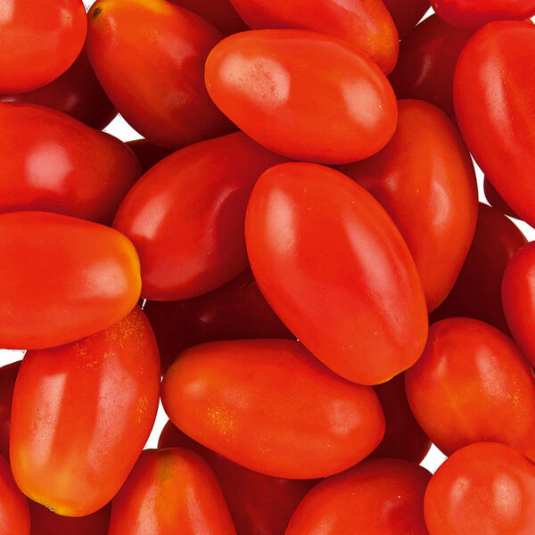Bio-Dattel-Cherrytomaten