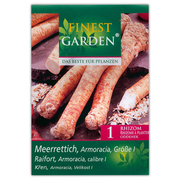 Zwiebeln für den Gemüsegarten