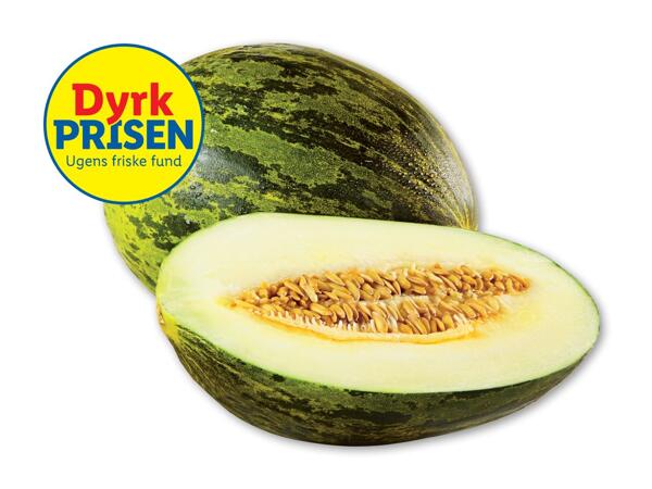 Grøn honningmelon Piel de Sapo
