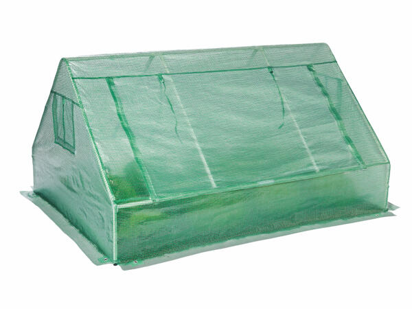 Cold Frame