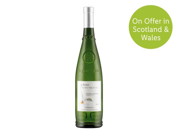 French Picpoul de Pinet