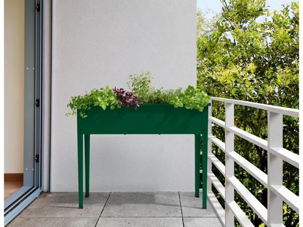 Raised Planter