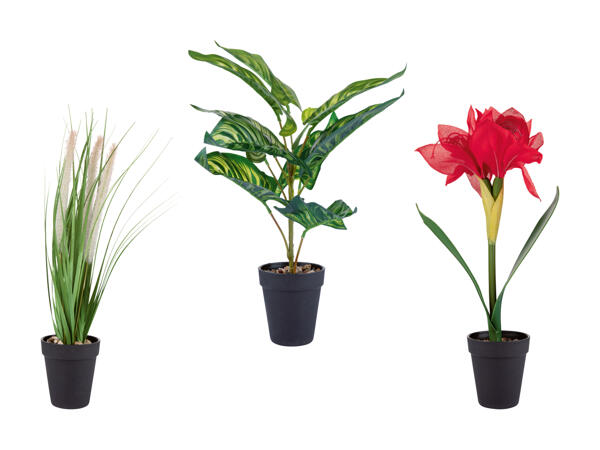 LIVARNO HOME(R) Kunstig plante