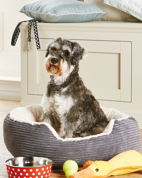 Pet Collection Oval Grey Pet Bed