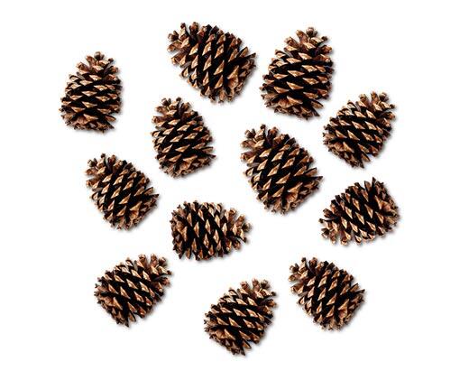 Huntington Home 
 Holiday Pine Cones