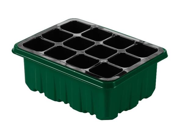 Sada pařenišť / Sada pařenišť s LED osvětlením