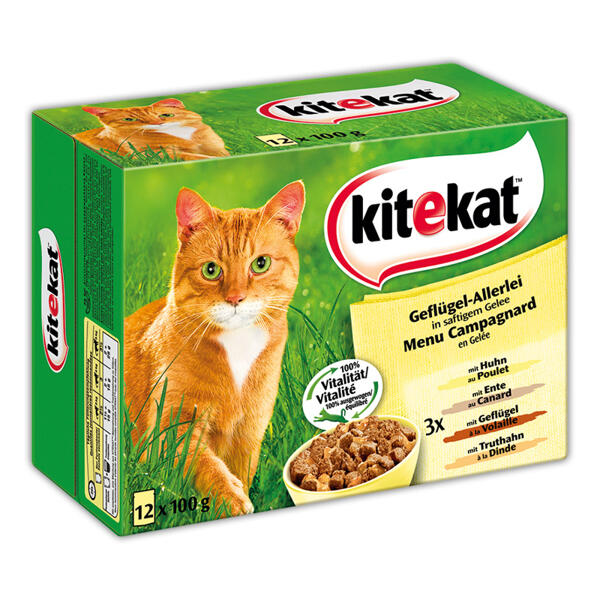 Katzennassnahrung