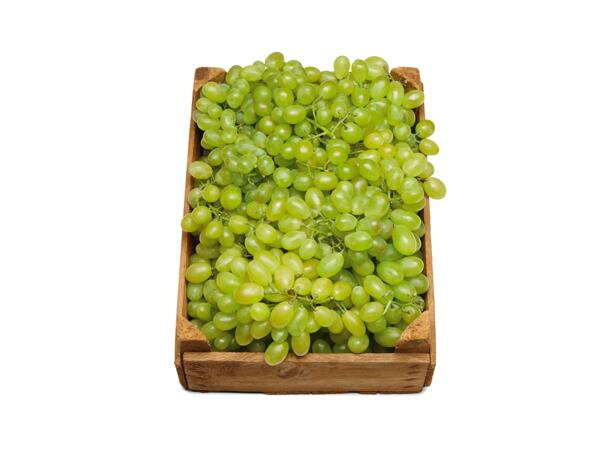 Gröna vindruvor