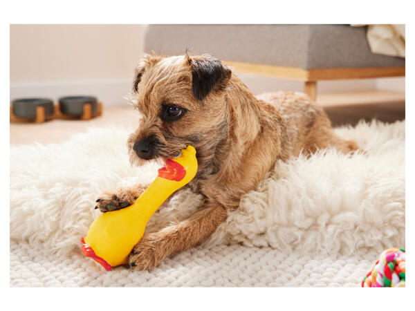 Dog Toy