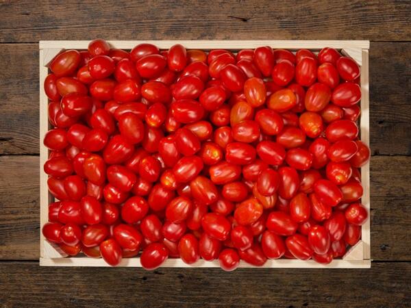 Tomates cerises dattes