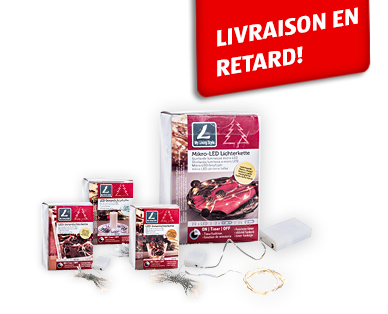 Guirlande lumineuse LED pour l'intérieur MY LIVING STYLE