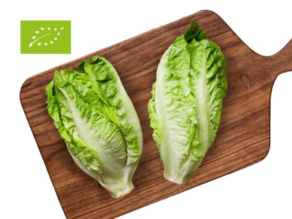 Bio Mini Romana Salat