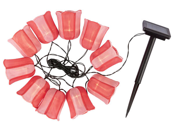 Solar Summer String LED Lights