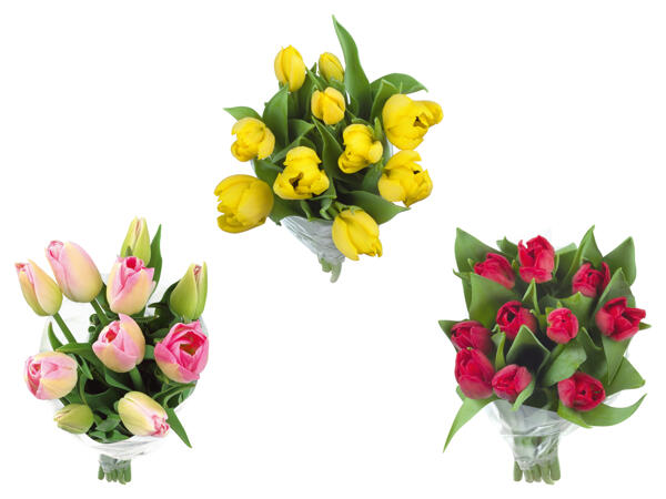 Tulpenstrauß