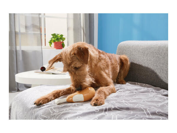 Zoofari Flavoured Chew Toy