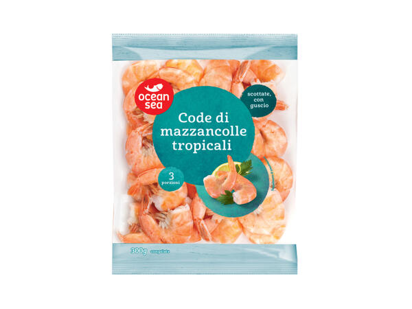 Warm Water Tropical Prawns