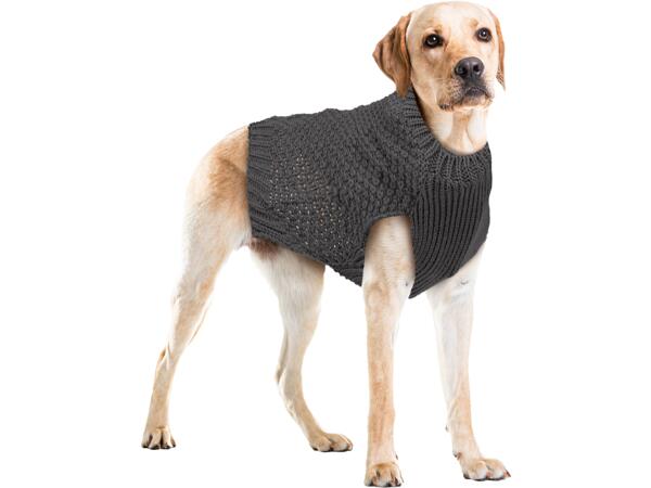Dog Jumper