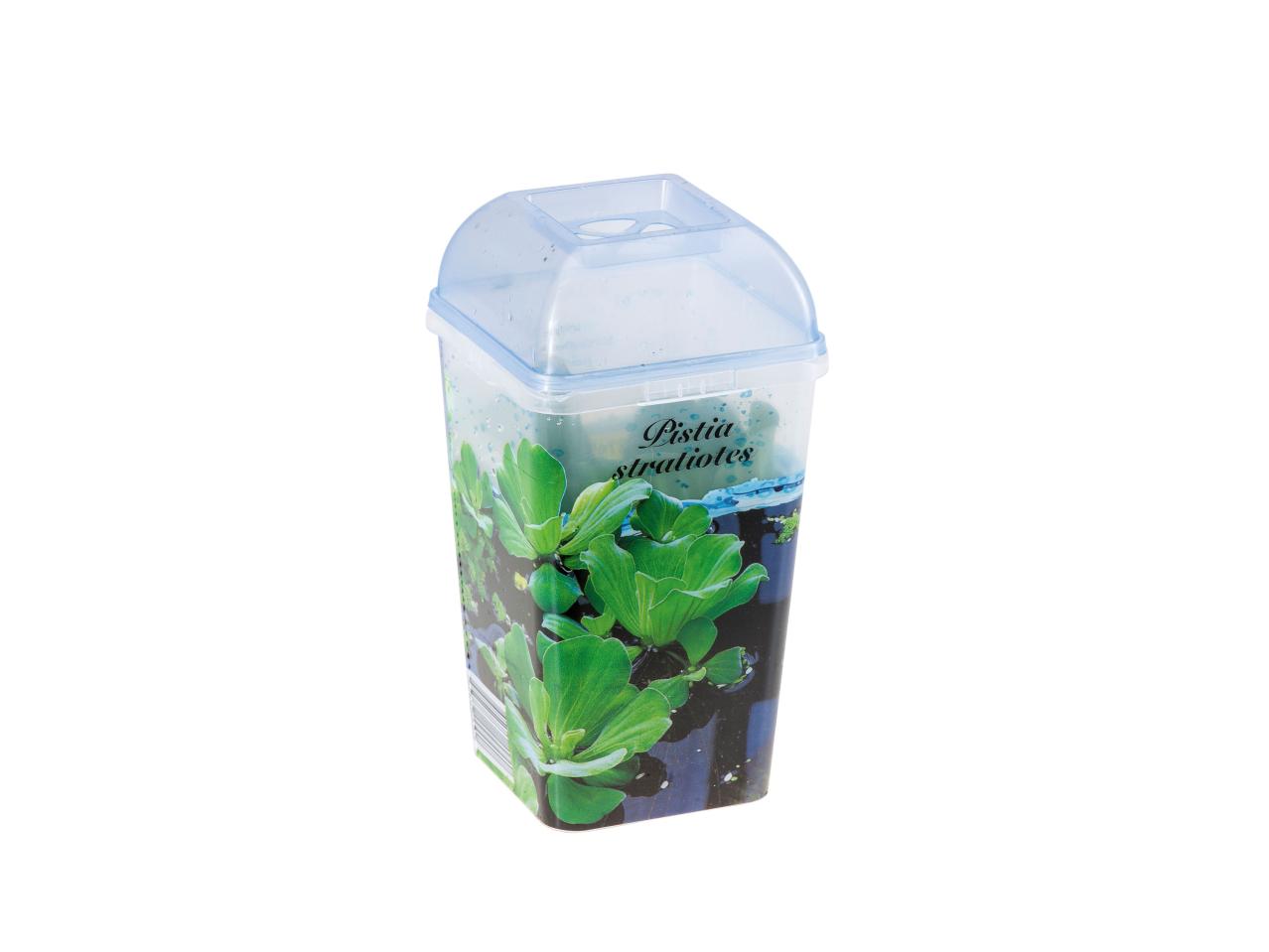 Drijfplanten