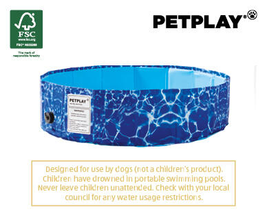 Folding Dog Pool
