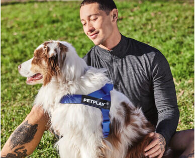 Medium or Large Dog Harness or Retractable Lead
