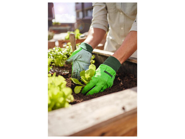 Garden Gloves
