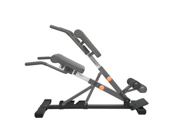 Multi Trainer