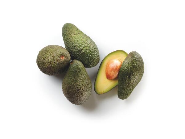 Avocado