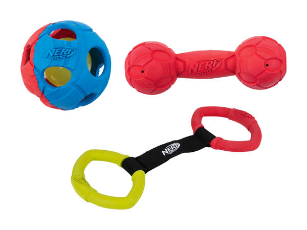 Jouets pour chien