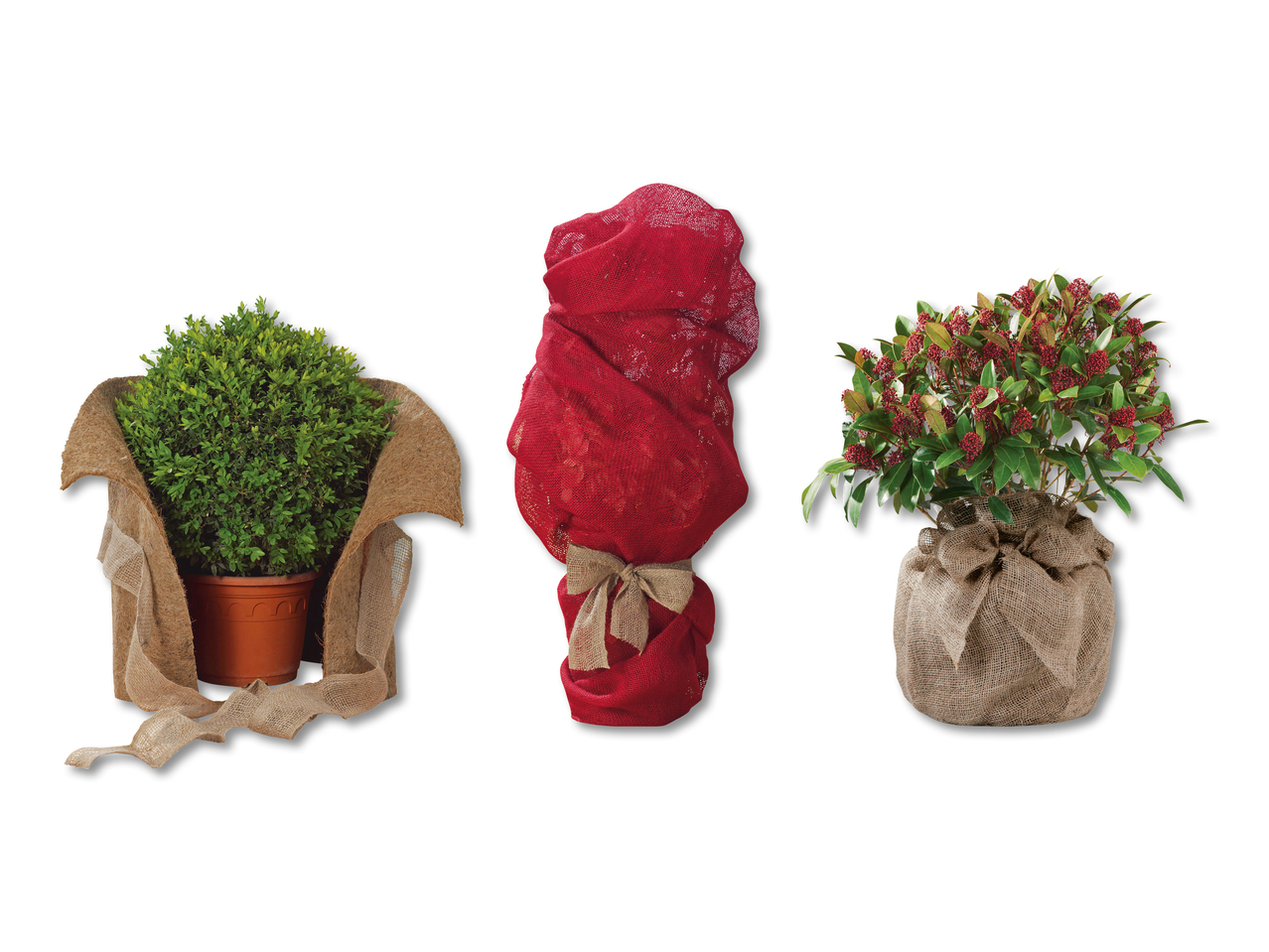 housse de Protection contre le gel pour plantes