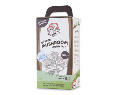 Mushroom Growing Kits