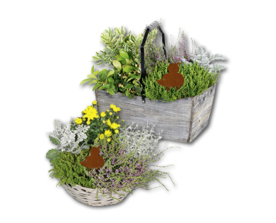 Caisse en bois/Corbeille en osier avec plantes