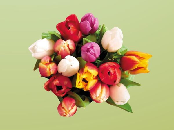Tulpenstrauß Kunterbunt