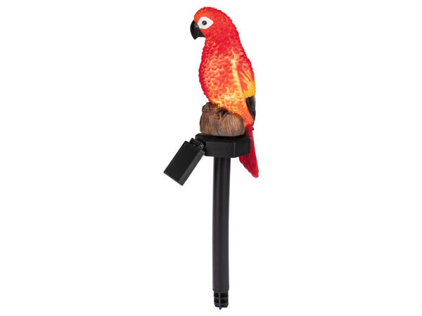Decorative Solar Light