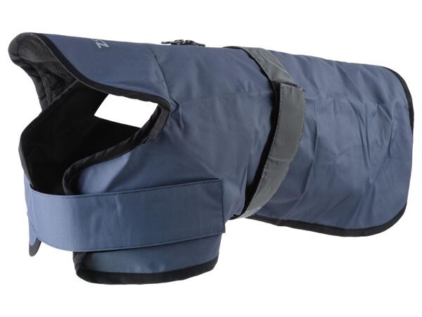Dog raincoat