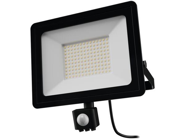 100W LED Outdoor Light