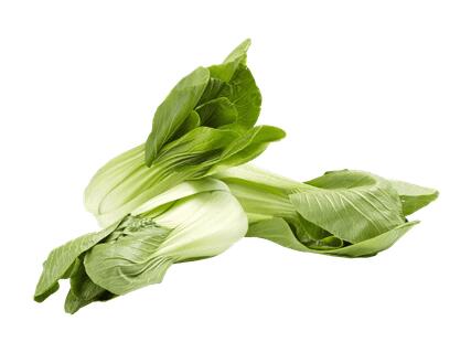 Bok Choi suisses