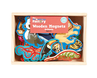Educational Magnets